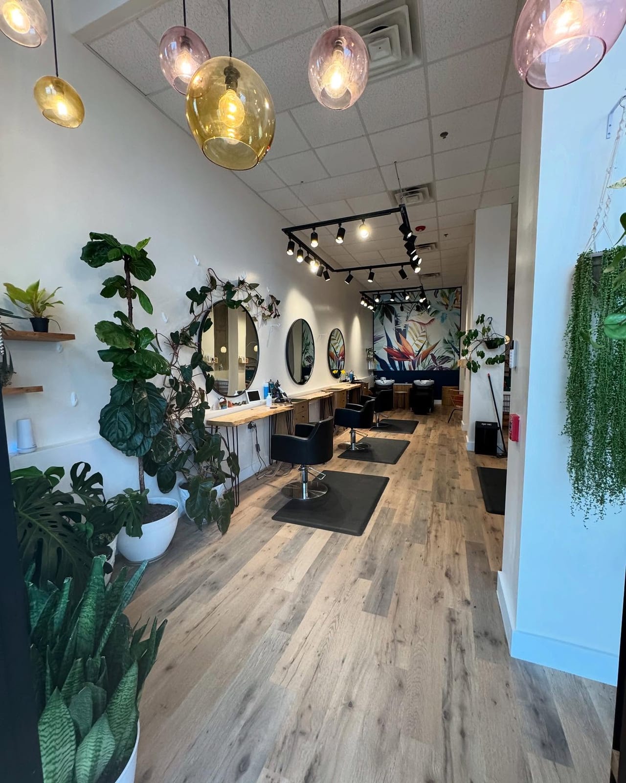 Sacred Roots Organic Hair Salon interior in Asheville, NC